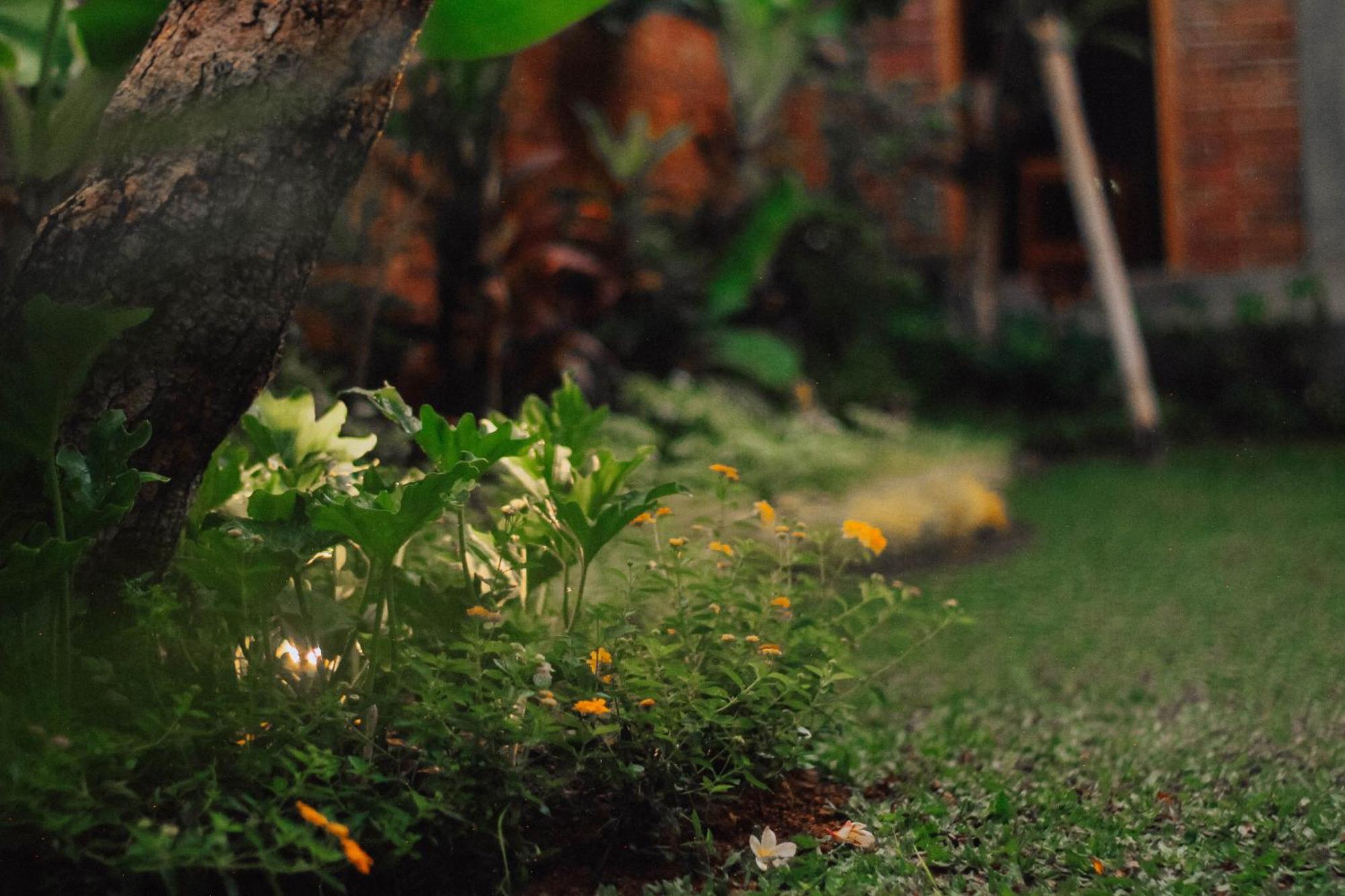 Govardan Home Stay Canggu Exterior foto